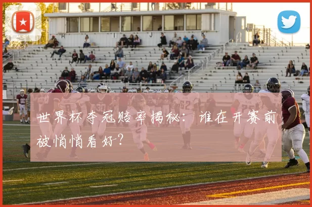 世界杯夺冠赔率揭秘:谁在开赛前被悄悄看好?