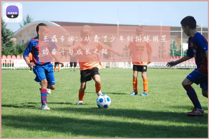 王磊专访:从青涩少年到排球明星的奋斗与成长之路