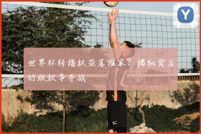 世界杯转播权花落谁家？揭秘背后的版权争夺战