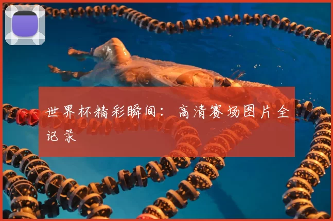 世界杯精彩瞬间：高清赛场图片全记录
