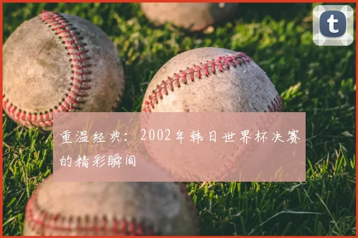 重温经典:2002年韩日世界杯决赛的精彩瞬间
