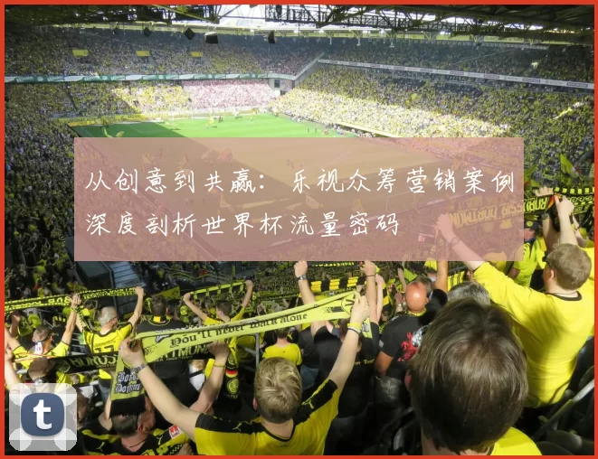 从创意到共赢:乐视众筹营销案例深度剖析世界杯流量密码