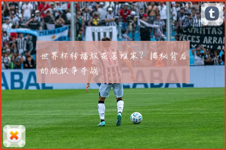 世界杯转播权花落谁家?揭秘背后的版权争夺战
