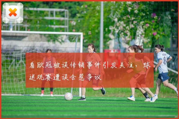 看欧冠被误传销事件引发关注,球迷观赛遭误会惹争议