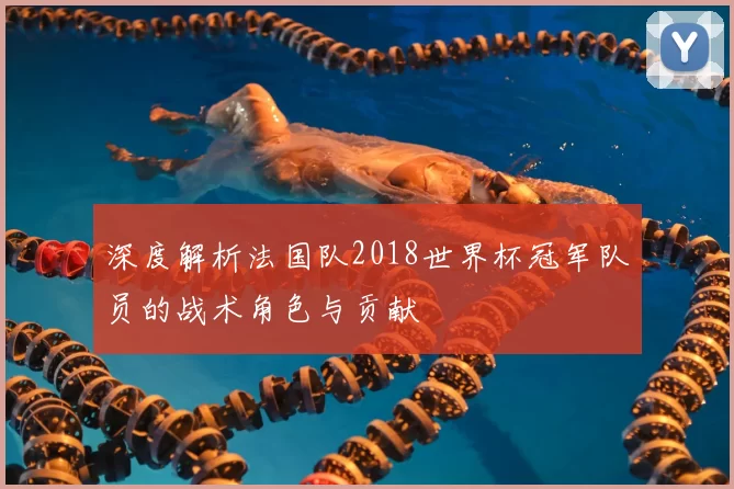 深度解析法国队2018世界杯冠军队员的战术角色与贡献