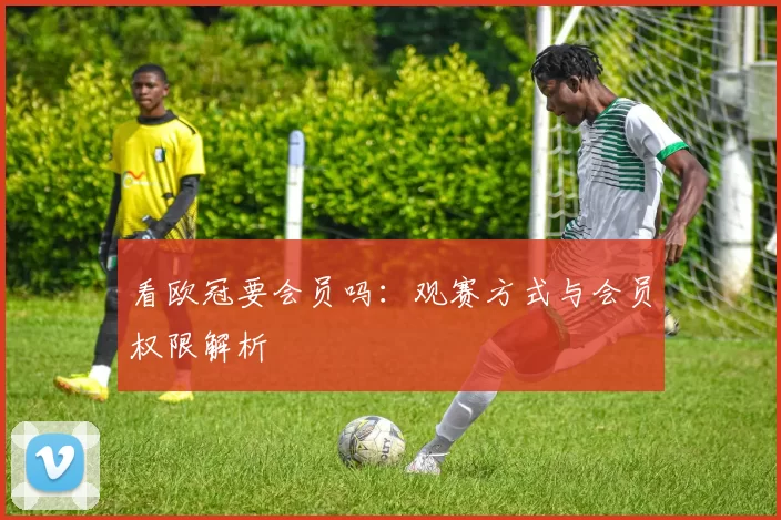 看欧冠要会员吗:观赛方式与会员权限解析