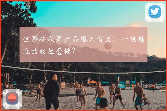 世界杯众筹产品爆火背后：一场精准的粉丝营销？