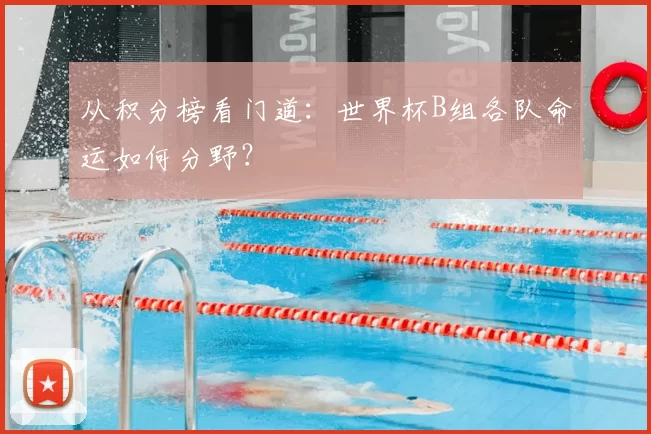 从积分榜看门道:世界杯B组各队命运如何分野?