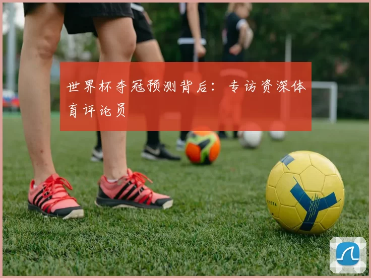 世界杯夺冠预测背后：专访资深体育评论员
